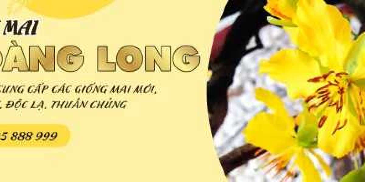 Cây Mai Tiền Tỷ Mạ Vàng 24k Bằng Đồng Nguyên Khối