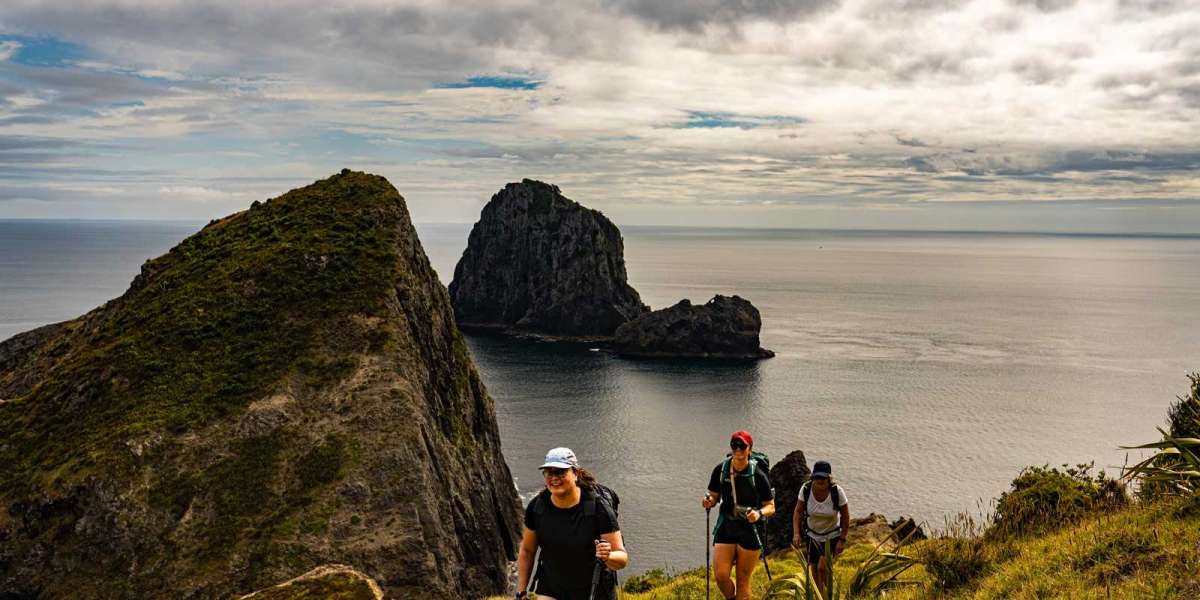 Discover the Magic of Aotearoa with New Zealand Escorted Tours