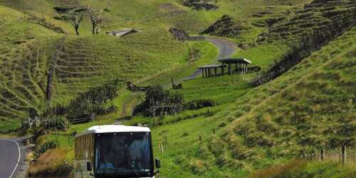Discover the Magic of Aotearoa with New Zealand Escorted Tours