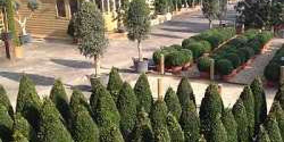 Transform Your Outdoor Space with Extra Large Planters