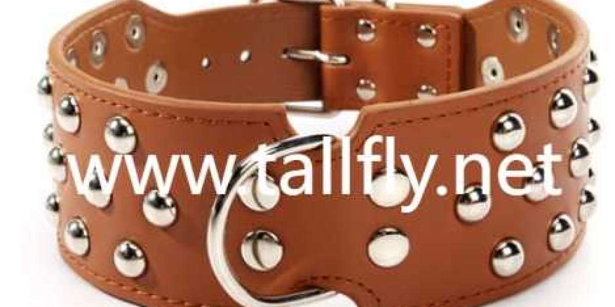 Transform Retail Lines Using Bespoke Pet Collar Factory Solutions