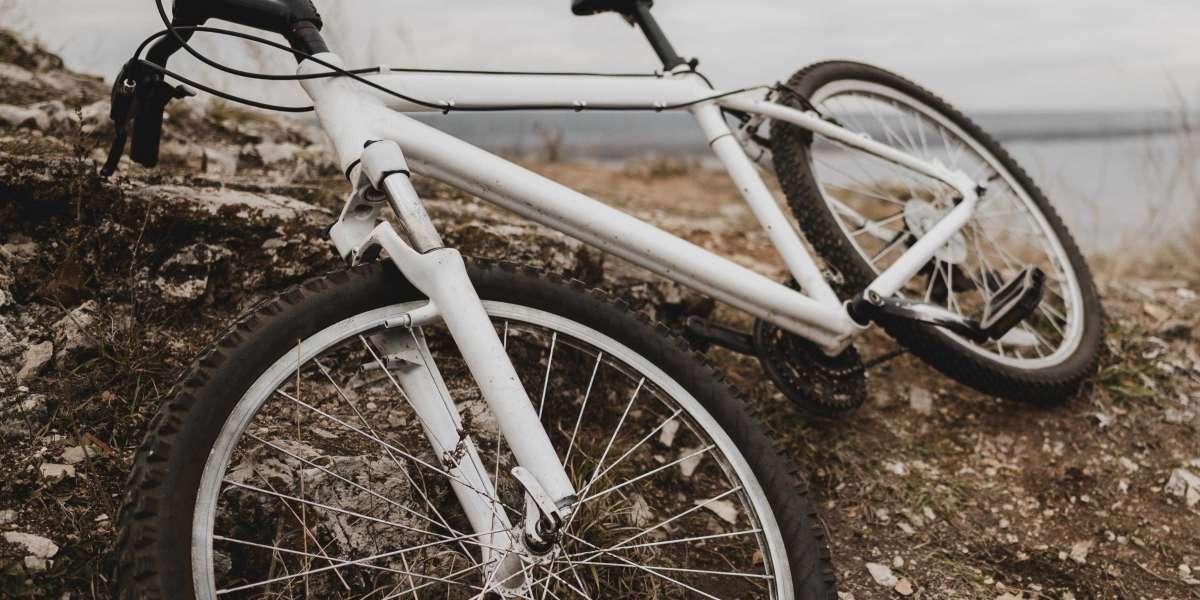 Bicycle Wall Mount