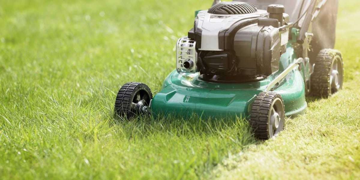 Transform Your Yard with Expert Lawncare in Forest Park GA