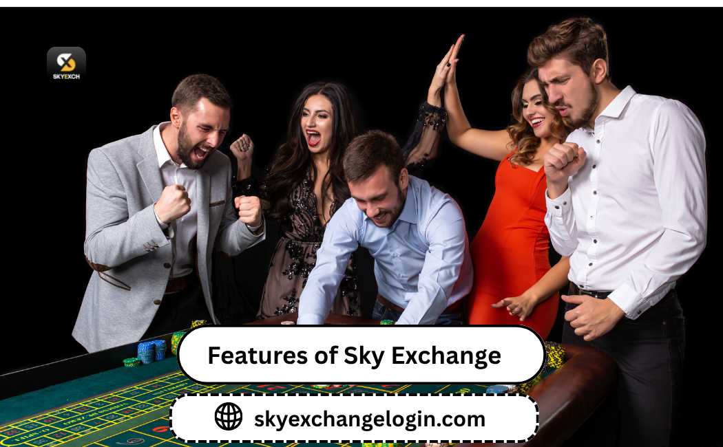 Features of SkyExchange