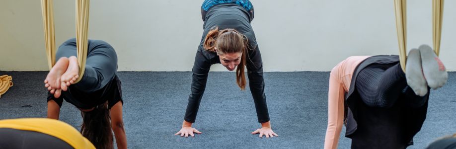 Aerial Yoga Course In Rishikesh Cover Image