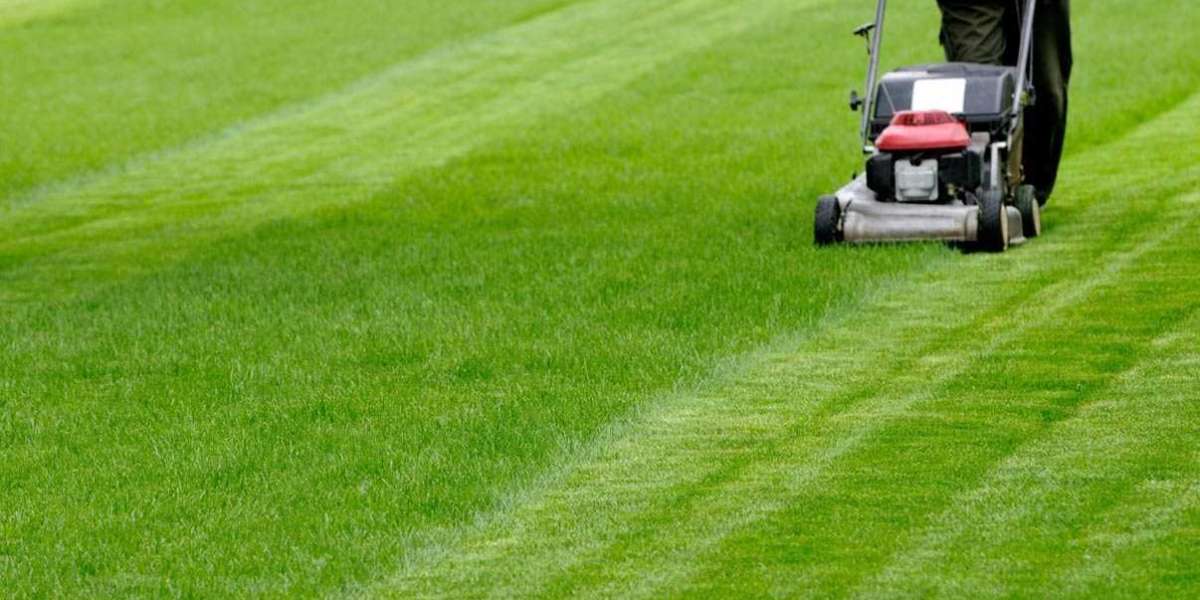 Affordable & Healthy Lawn Care Forest Park GA