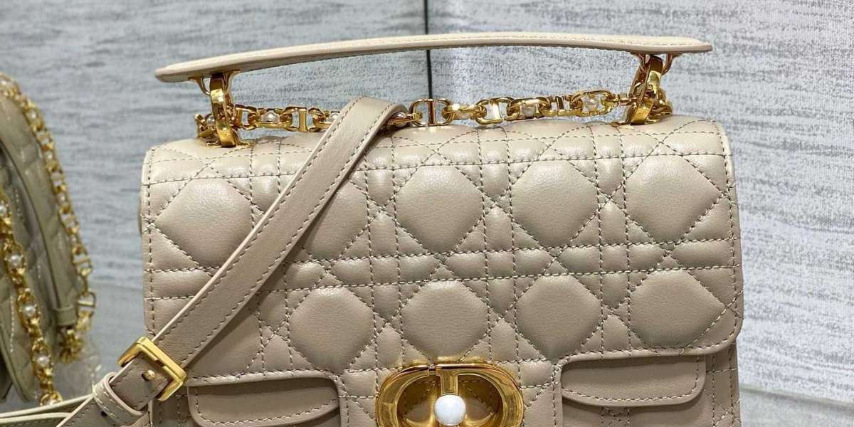 keeps two garments High Quality Dior Bags from her A punk