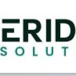 Veridian Solutions Profile Picture