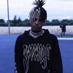 Revenge hoodie Profile Picture