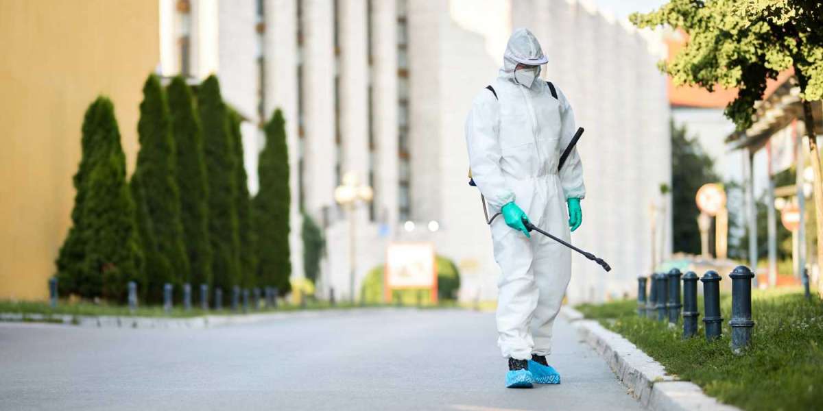 Pest Control Near You Termite Control in Monroe GA