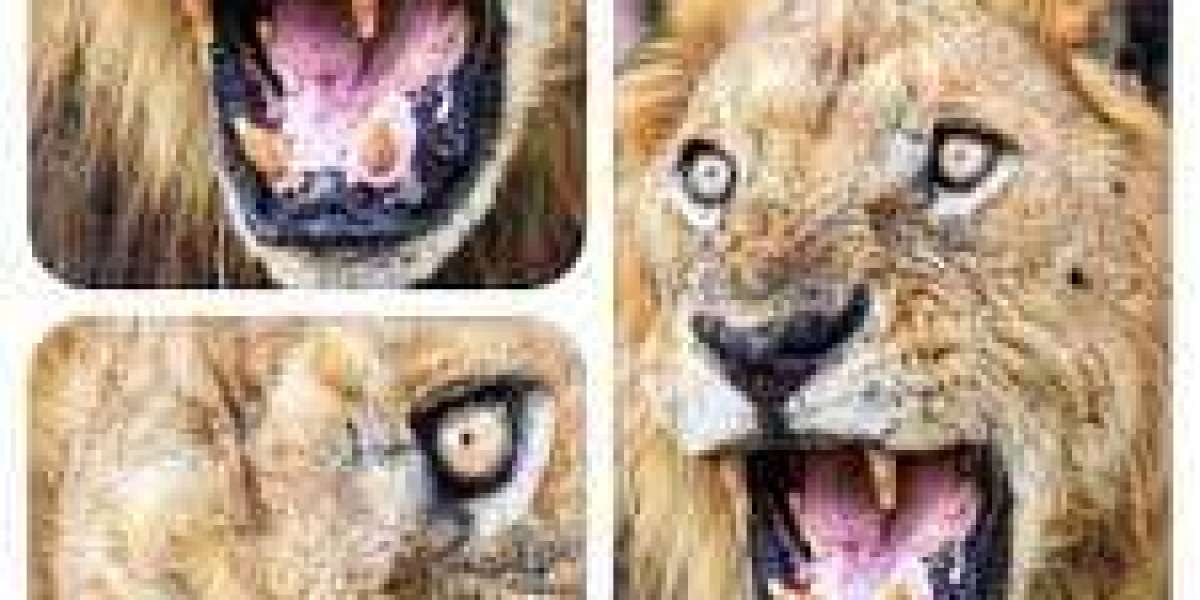 Lionapk: The Ultimate Guide to Downloading and Using Apps Safely