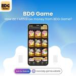 BDG Game Profile Picture