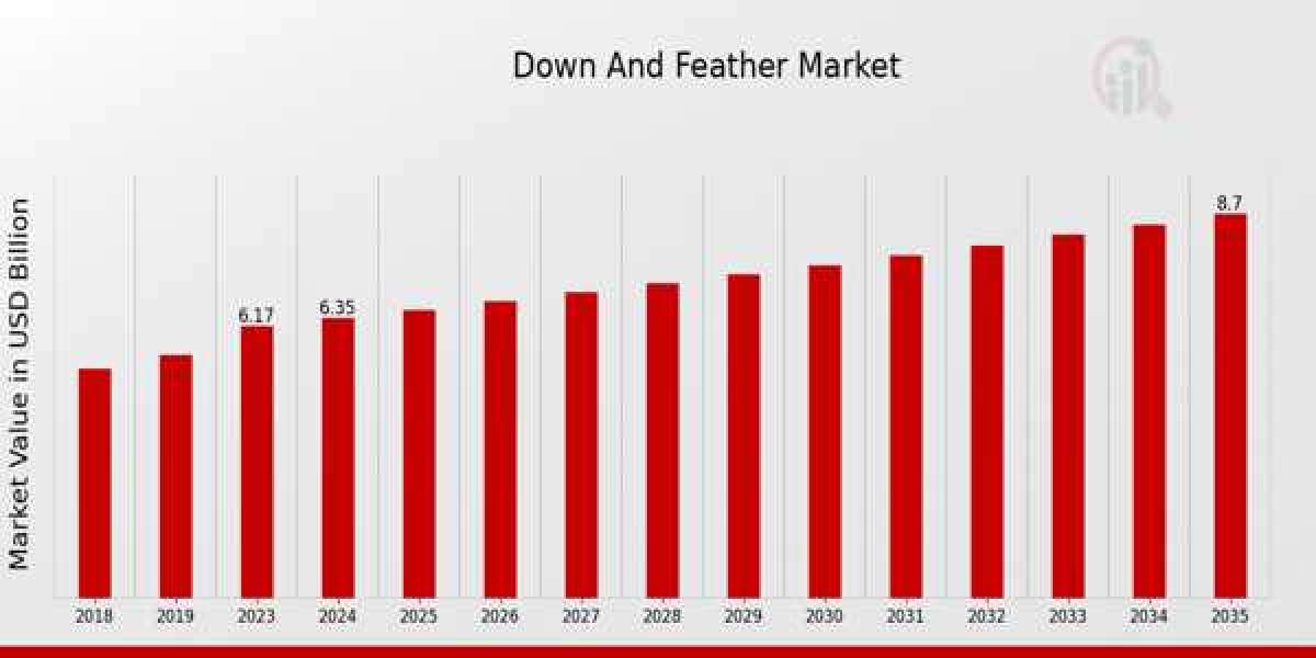 Global Down Feather Market Trends: Sustainability, Demand, and Future Outlook