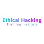 Ethical Hacking Training Institute Profile Picture